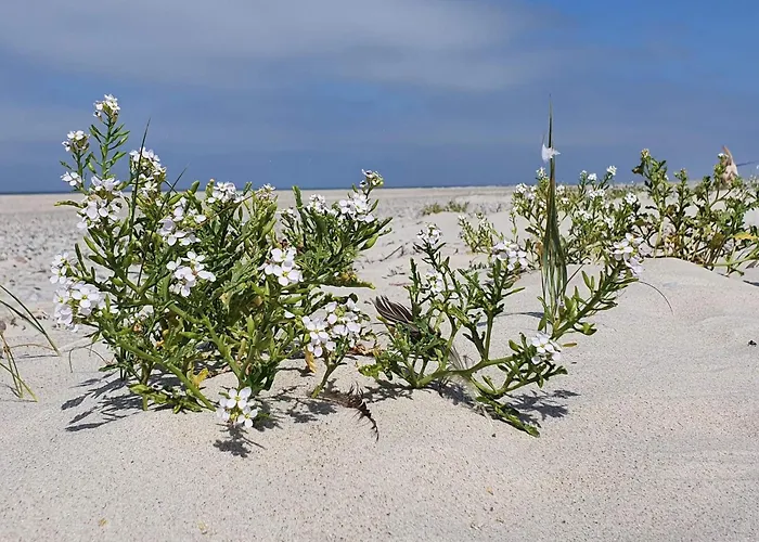 6 Person In Norre Nebel-by Traum Lønne Hede