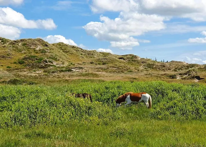 6 Person In Norre Nebel-by Traum *